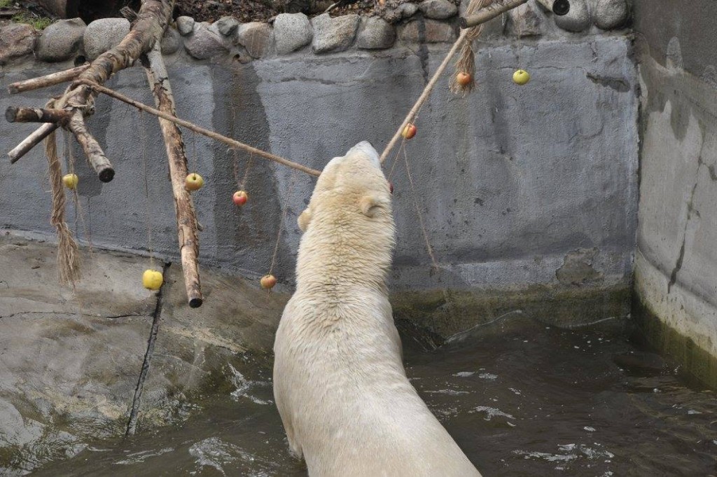 fot. ZOO warszawskie/ Facebook