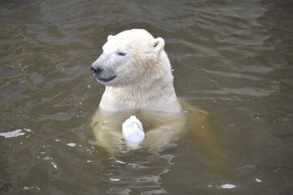 fot. ZOO warszawskie/ Facebook