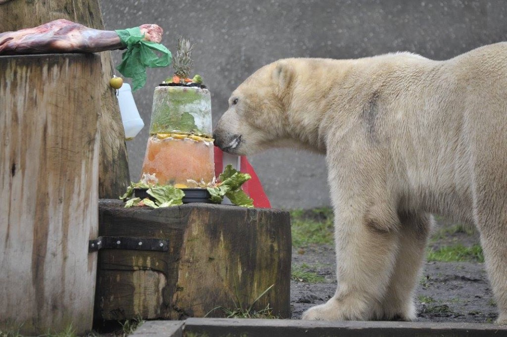 fot. ZOO warszawskie/ Facebook