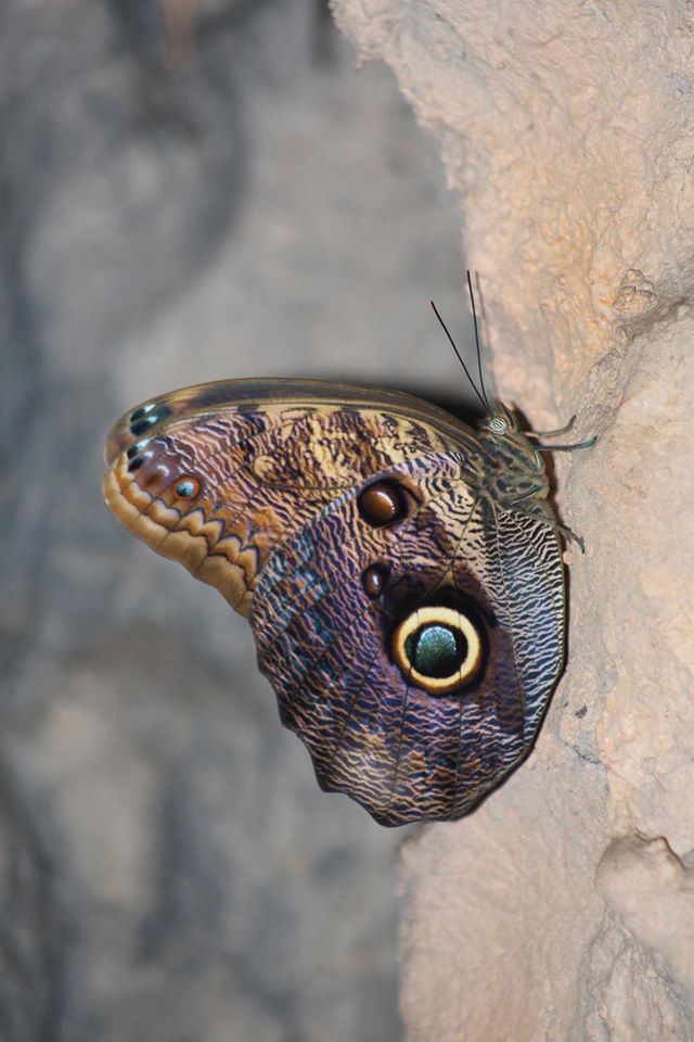 fot. ZOO Warszawa