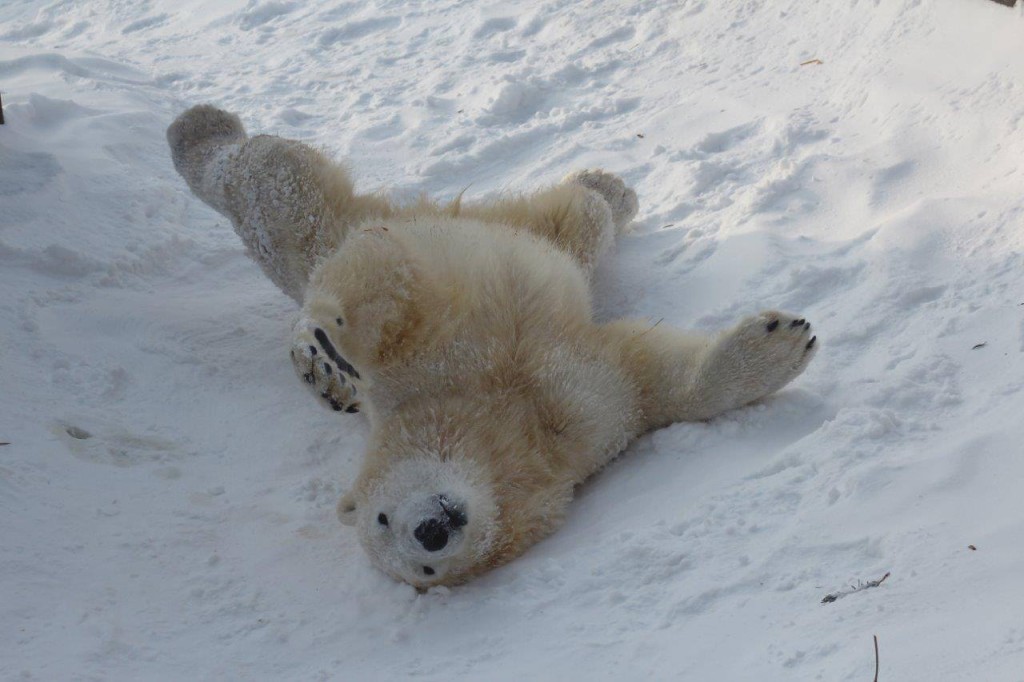 Fot. Warszawki Ogród Zoologiczny