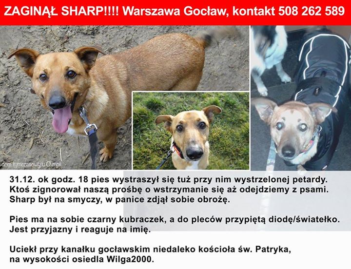 Fot. Facebook