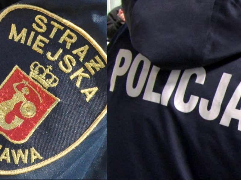 Fot. Straż Miejska / Policja