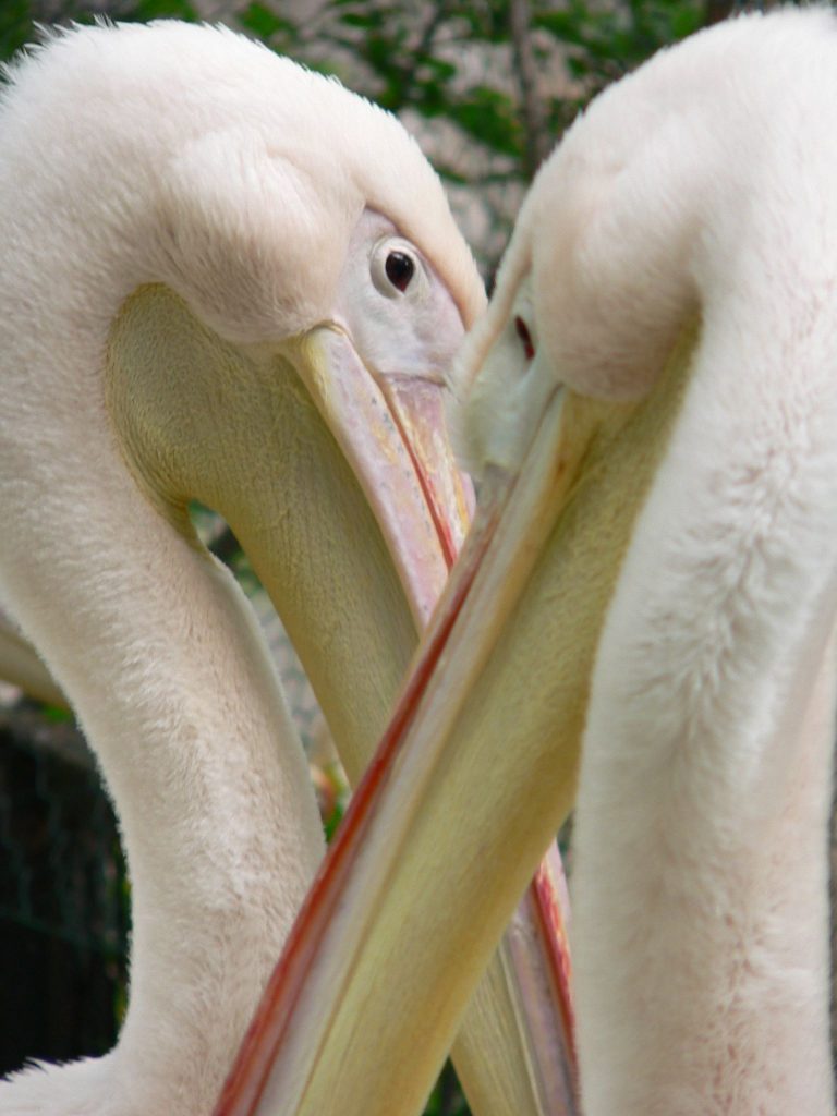 fot. ZOO Warszawa