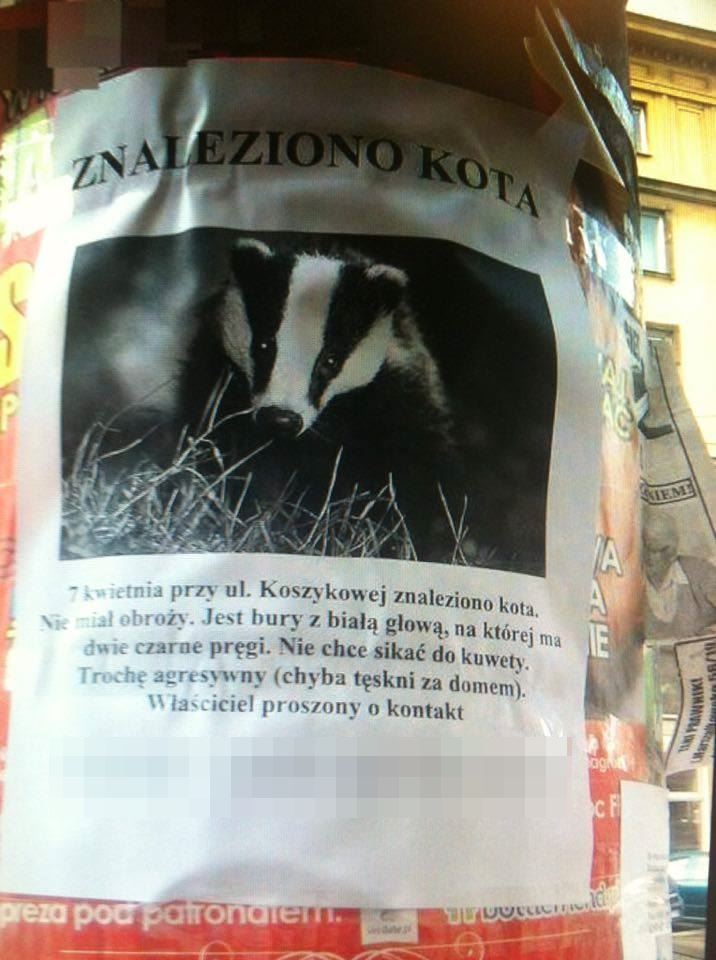 Fot. czytelnik