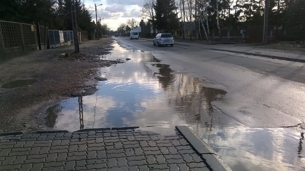 Fot. czytelniczka