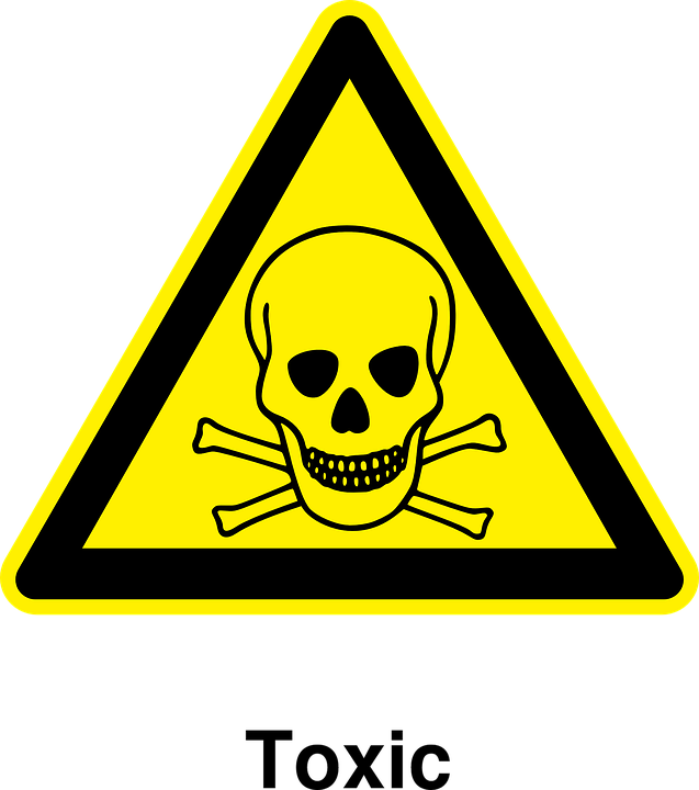 Fot. Pixabay