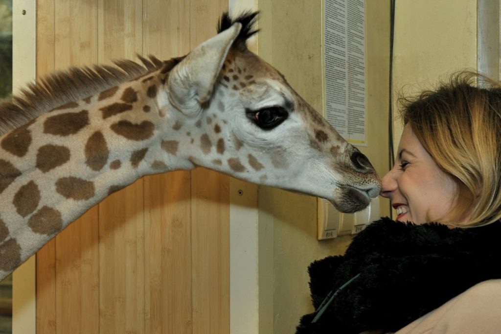 Fot. ZOO Warszawa