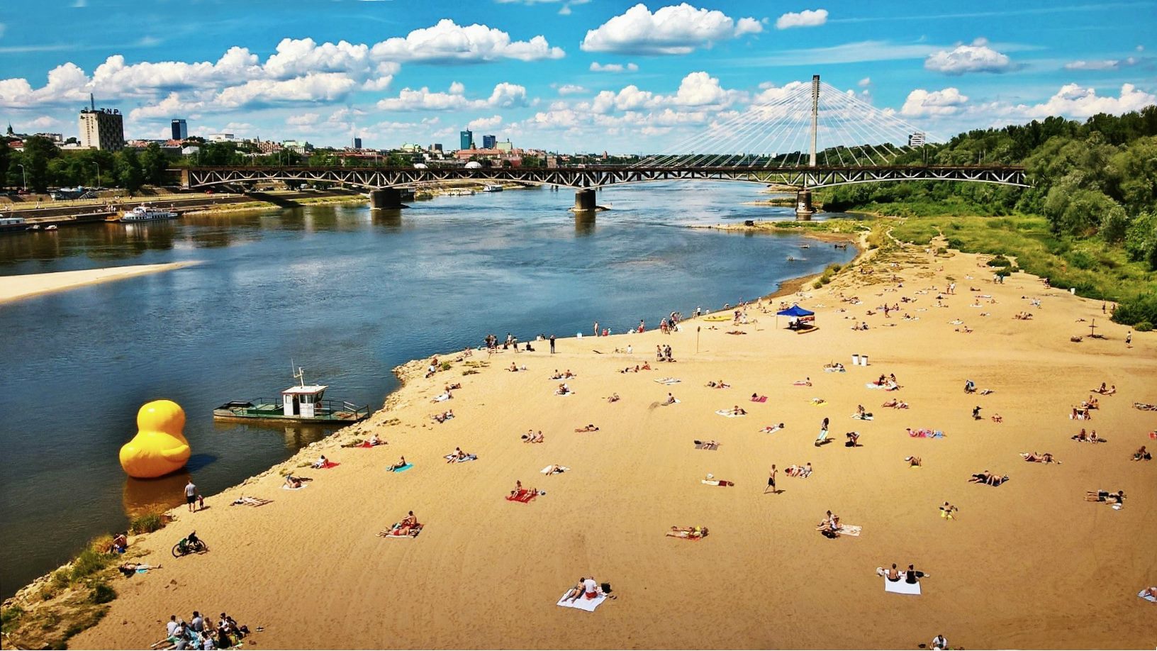 Tragedia ekologiczna w stolicy! Wisła znika, czy rekordowo niski poziom Wisły obnaża kryzys klimatyczny?