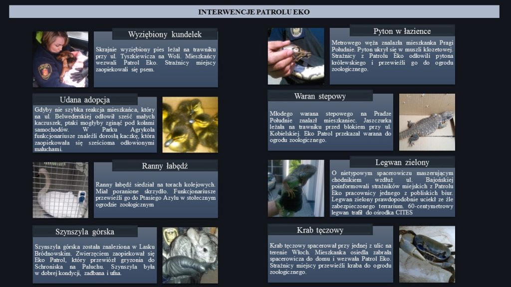 Fot. Eko Patrol