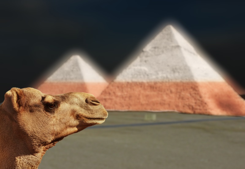 Egipt otworzył skarbiec faraonów! W środku maska Tutanchamona i cuda, które zapierają dech.