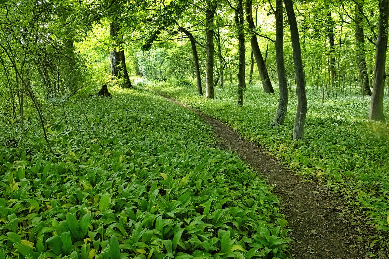 Nigdy tego n zrywaj tego! Grozi ci kara do 5 tysięcy złotych