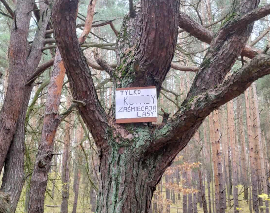 Niecodzienny protest w Kampinosie. Mieszkańcy oznaczyli drogę wulgarnymi kartkami